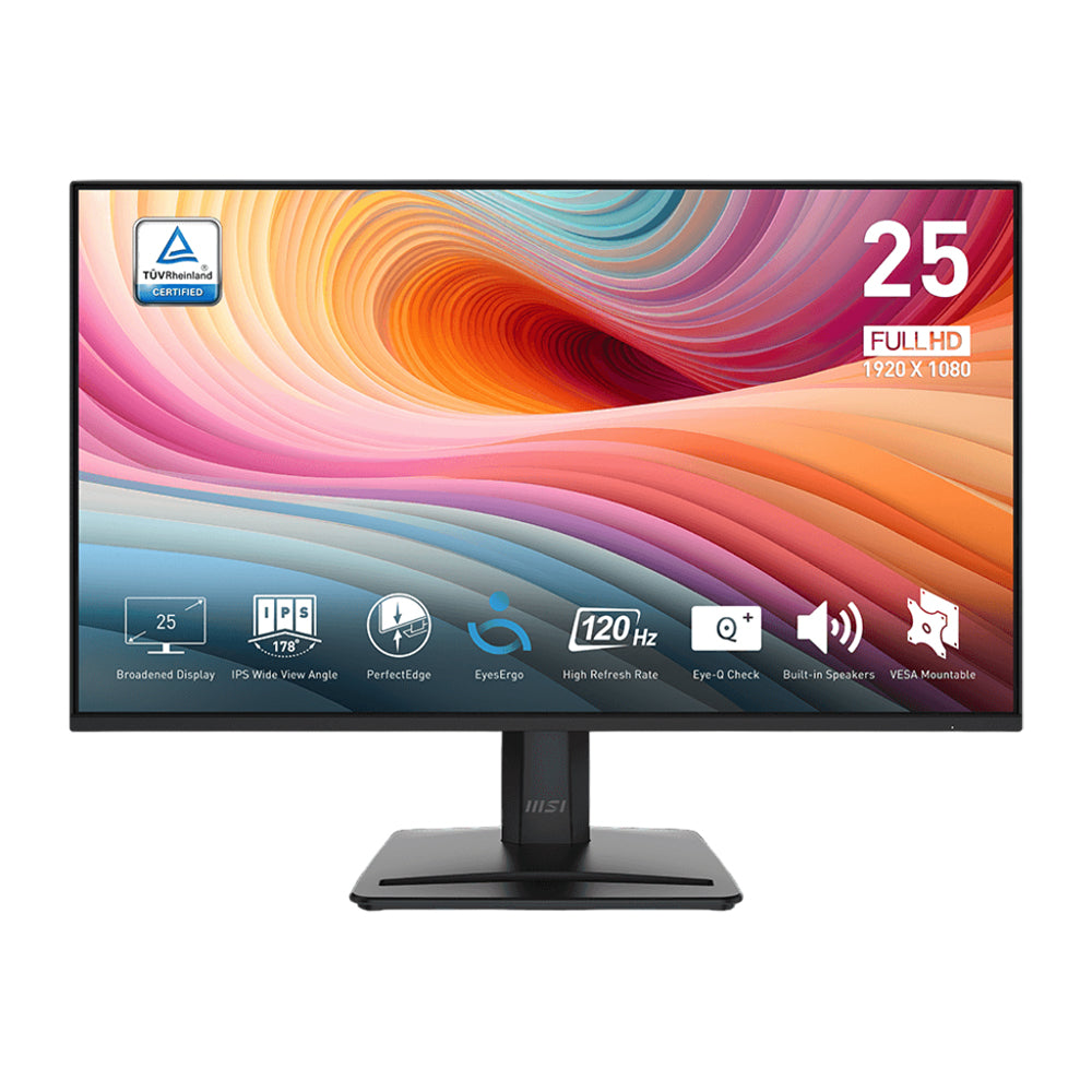 MSI PRO MP251 E2 24.5