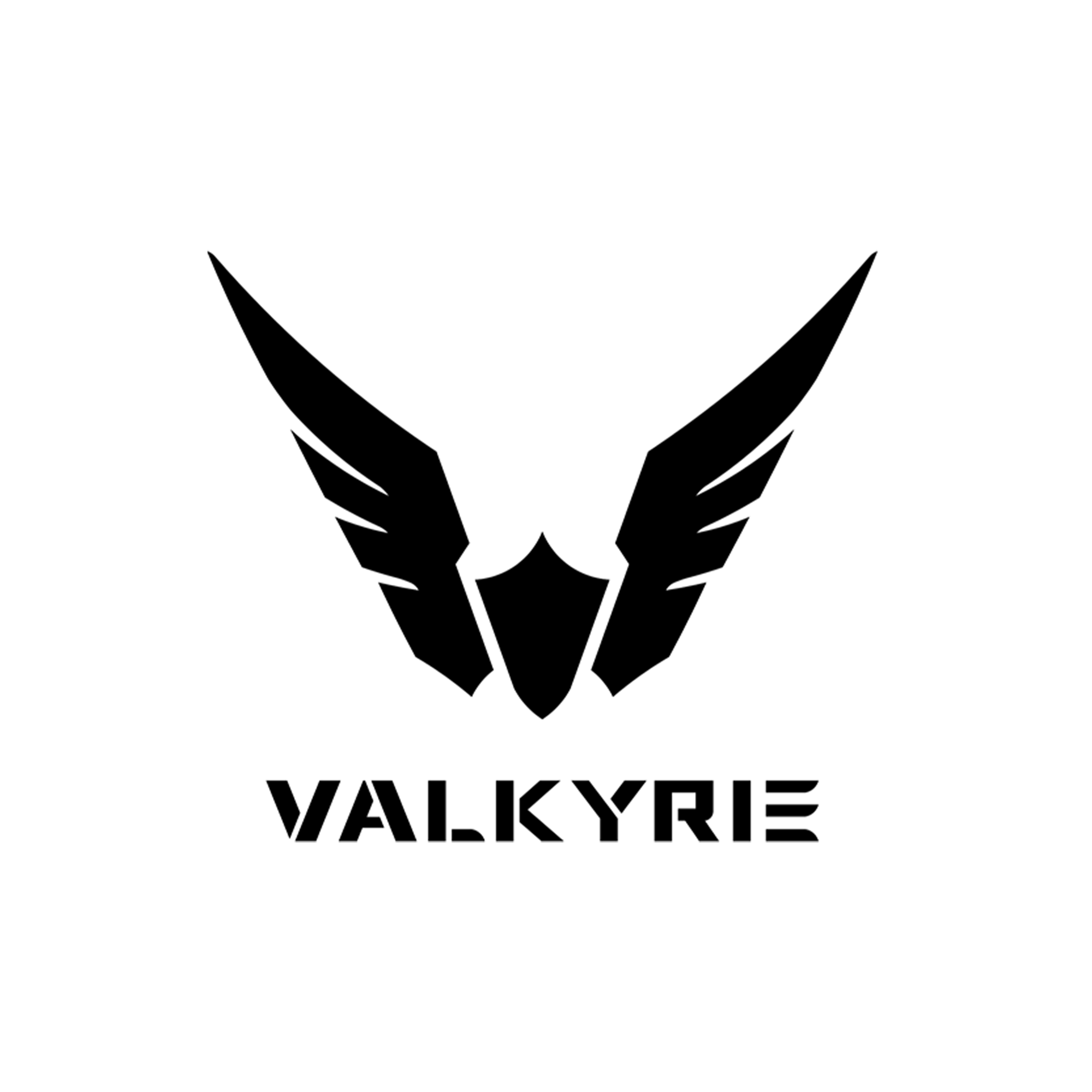 Valkyrie