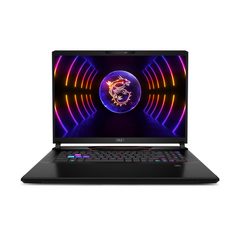 MSI Raider GE78 HX Gaming Laptop [13VG-079MY]