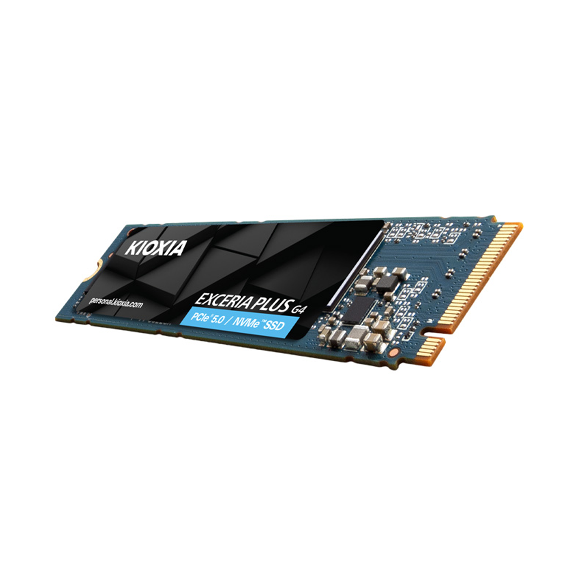 △△キオクシア□内蔵SSD KIOXIA EXCERIA with HeatSink NVMe□SSD-CK1